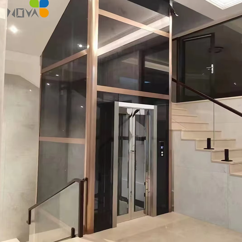 VTEV106 Ascensores Elevadores উচ্চ মানের ভিলা এলিভেটর বাড়ির আধুনিকীকরণের জন্য