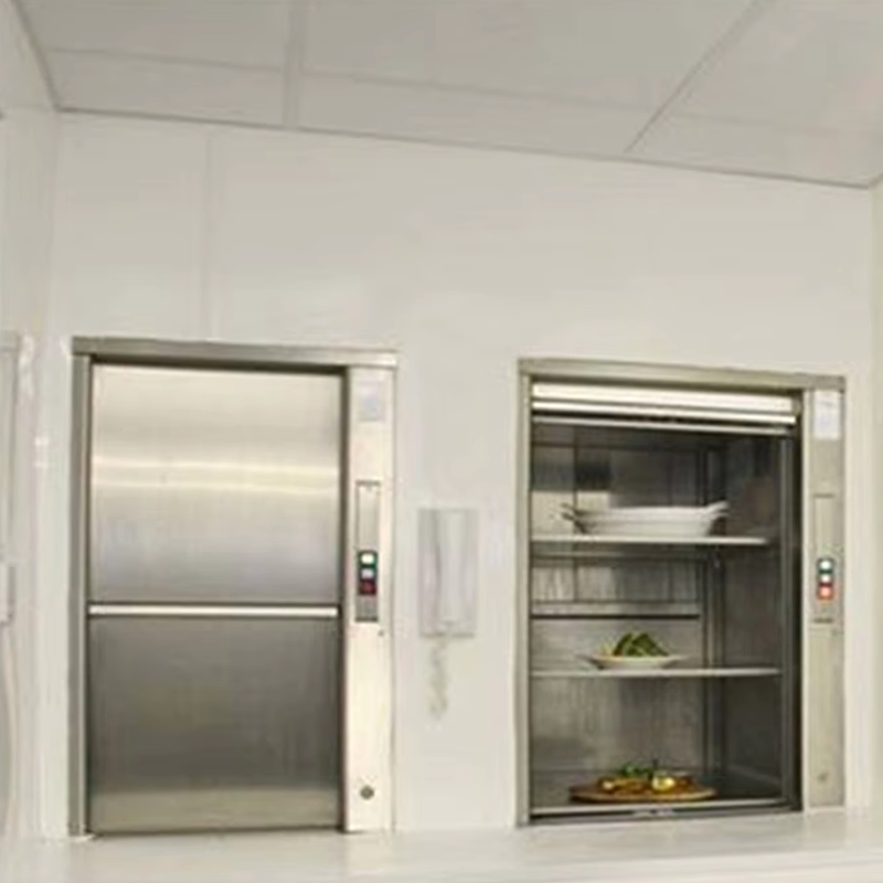VTEF105 Ascensores Elevadores Vertical Dumbwaiter Lift রেস্টুরেন্ট এবং ক্যান্টিন ব্যবহারের জন্য