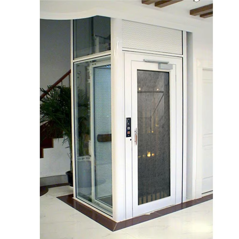 VTEV102 Ascensores Elevadores এনার্জি সেভিং ভিলা লিফট আবাসিক সাজসজ্জার জন্য