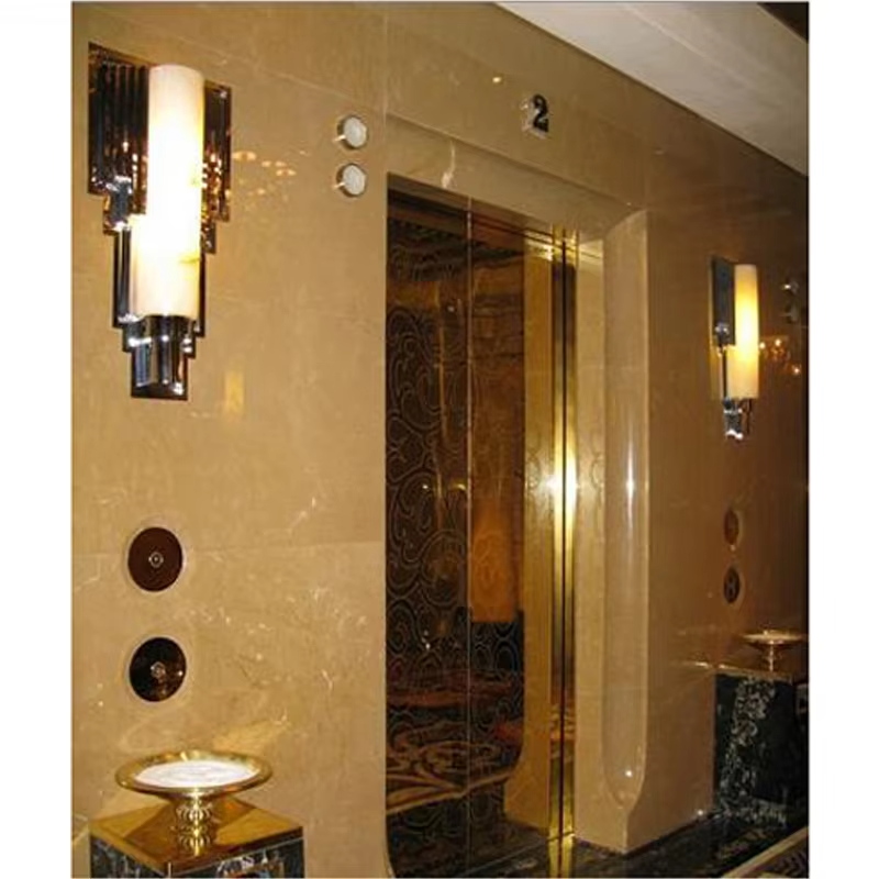 VTEV102 Ascensores Elevadores এনার্জি সেভিং ভিলা লিফট আবাসিক সাজসজ্জার জন্য