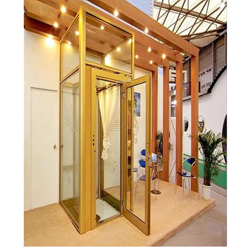 VTEV101 Ascensores Elevadores সুন্দর ডিজাইনের ভিলা লিফট আধুনিক সাজসজ্জা শৈলীর জন্য