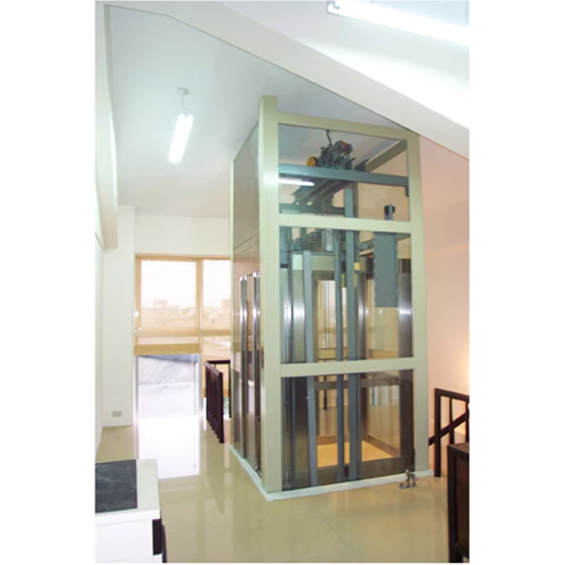 VTEV101 Ascensores Elevadores সুন্দর ডিজাইনের ভিলা লিফট আধুনিক সাজসজ্জা শৈলীর জন্য
