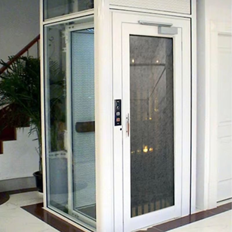 VTEV105 Ascensores Elevadores কাস্টমাইজড কেবিন ভিলা লিফট অভ্যন্তরীণ সজ্জার জন্য