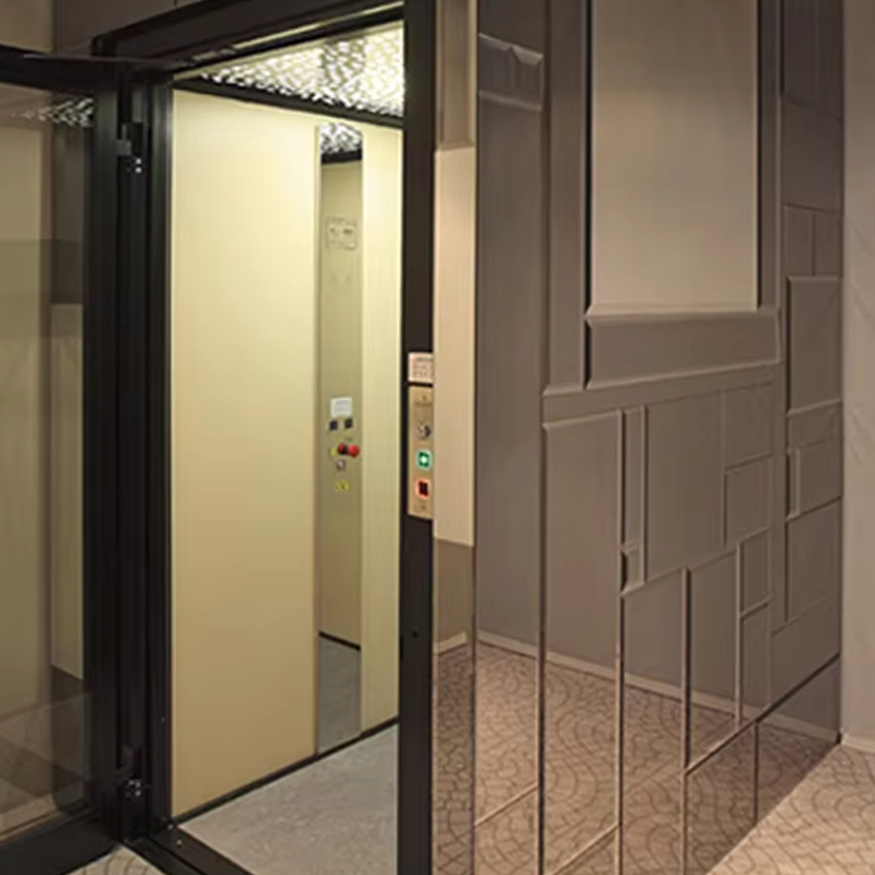 VTEV105 Ascensores Elevadores কাস্টমাইজড কেবিন ভিলা লিফট অভ্যন্তরীণ সজ্জার জন্য