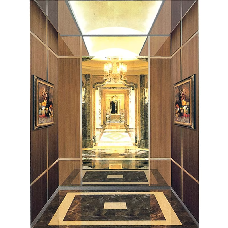 VTEP116 Ascensores আধুনিক যাত্রীবাহী এলিভেটর সিস্টেম হাই-রাইজ প্রজেক্টের জন্য বিরামহীন অপারেশন