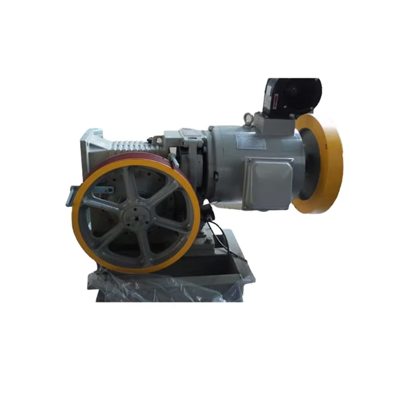 VTSP245 চায়না ফ্যাক্টরি এলিভেটর গিয়ারড ট্র্যাকশন মেশিন গুডস লিফট মোটর