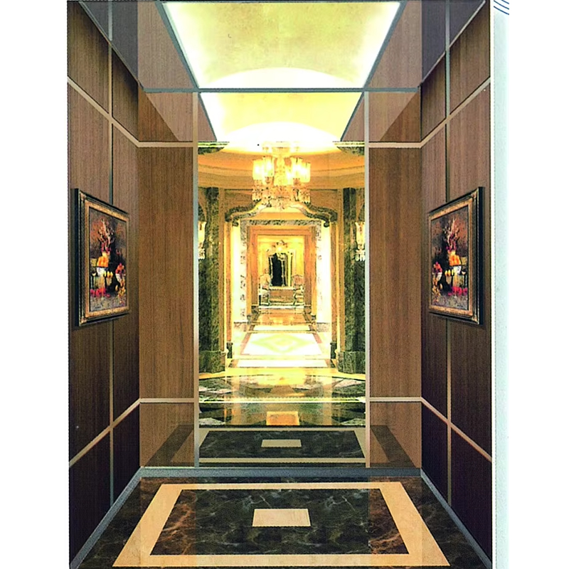 VTSP135 এলিভেটর যন্ত্রাংশ ও আনুষাঙ্গিক বাণিজ্যিক প্যাসেঞ্জার লিফট কেবিন এর সাথে অ্যান্টি-স্ক্র্যাচ ওয়াল প্যানেল