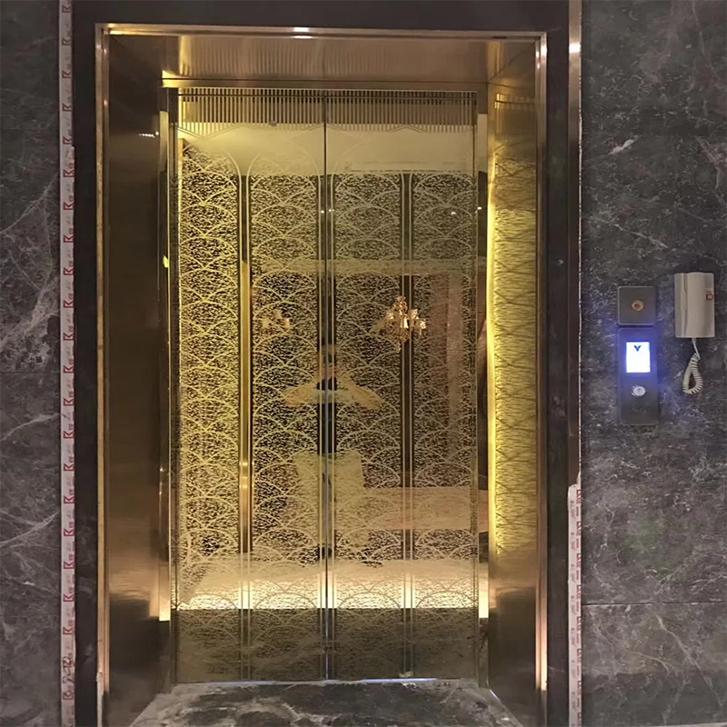 VTSP136 এলিভেটর যন্ত্রাংশ ও আনুষাঙ্গিক LED আলো এবং প্রিমিয়াম সজ্জা সহ যাত্রী লিফট কেবিন